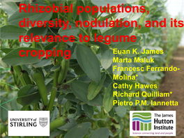 Rhizobial Populations, Diversity, Nodulation, and Its Relevance to Legume Cropping Euan K