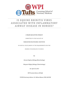 Is Equine Rhinitis Virus Associated with Inflammatory Airway Disease In