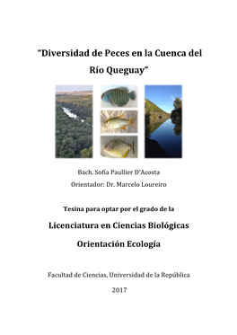 “Diversidad De Peces En La Cuenca Del Río Queguay”