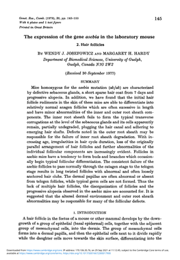 The Expression of the Gene Asebia in the Laboratory Mouse: 2. Hair Follicles