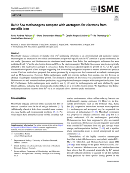 Baltic Sea Methanogens Compete with Acetogens for Electrons from Metallic Iron