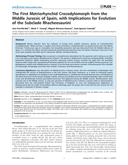 The First Metriorhynchid Crocodylomorph from the Middle Jurassic of Spain, with Implications for Evolution of the Subclade Rhacheosaurini