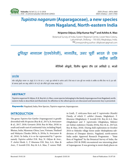 Tupistra Nagarum (Asparagaceae), a New Species from Nagaland, North-Eastern India