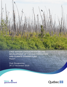 CREE NATION CONSULTATION on the DEVELOPMENT of the ELECTRIFICATION and CLIMATE CHANGE PLAN Report