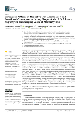 Expression Patterns in Reductive Iron Assimilation and Functional Consequences During Phagocytosis of Lichtheimia Corymbifera, an Emerging Cause of Mucormycosis