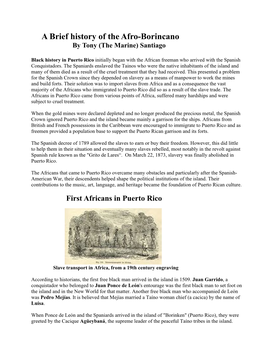 A Brief History of the Afro-Borincano by Tony (The Marine) Santiago