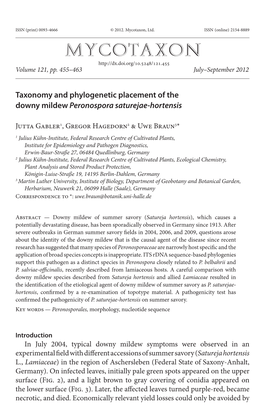 Taxonomy and Phylogenetic Placement of the Downy Mildew &lt;I