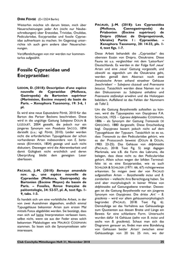 Fossile Cypraeidae Und Eocypraeidae