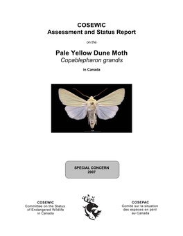 Pale Yellow Dune Moth (Copablepharon Grandis) in Canada, Prepared Under Contract with Environment Canada