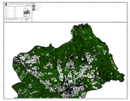COMUNE DI RADDA in CHIANTI LEGENDA ARBORETO DA LEGNO Provincia Di Siena BOSCO a COPERTURA DENSA 80-100