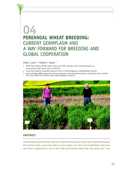 Perennial Wheat Breeding: Current Germplasm and a Way Forward for Breeding and Global Cooperation