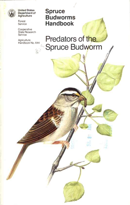 Predators of The^ Spruce Budworm I