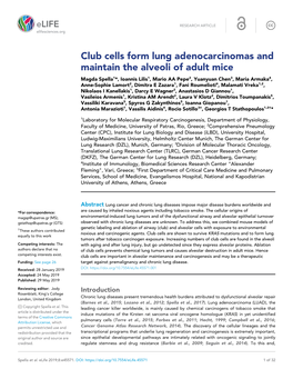 Club Cells Form Lung Adenocarcinomas and Maintain the Alveoli of Adult Mice