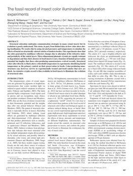 The Fossil Record of Insect Color Illuminated by Maturation Experiments