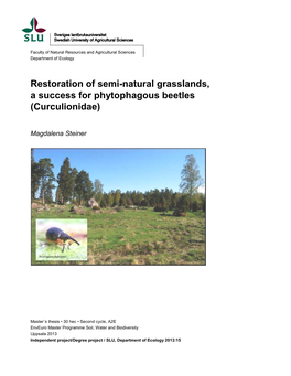 Restoration Success of Phytophagous Species Assemblage of the Family