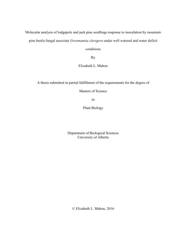 Molecular Analysis of Lodgepole and Jack Pine Seedlings Response to Inoculation by Mountain Pine Beetle Fungal Associate Grosman