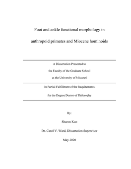 Foot and Ankle Functional Morphology in Anthropoid Primates and Miocene Hominoids