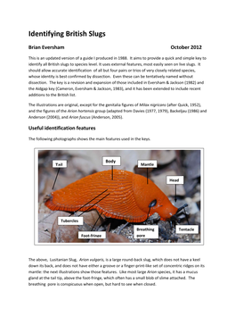 Identifying British Slugs