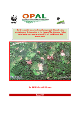 Environmental Impacts of Smallholders and Elites Oil Palm
