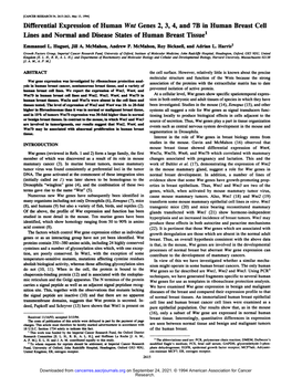 Differential Expression of Human Wnt Genes 2, 3, 4, and 7B in Human Breast Cell Lines and Normal and Disease States of Human Breast Tissue'