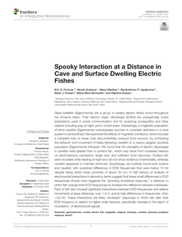 Spooky Interaction at a Distance in Cave and Surface Dwelling Electric Fishes