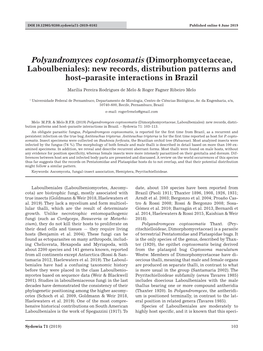 Polyandromyces Coptosomatis (Dimorphomycetaceae, Laboulbeniales): New Records, Distribution Patterns and Host–Parasite Interactions in Brazil