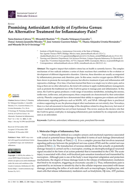 Promising Antioxidant Activity of Erythrina Genus: an Alternative Treatment for Inﬂammatory Pain?