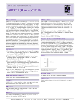 Datasheet Blank Template