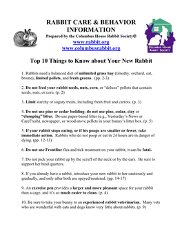 Rabbit Care & Behavior Information