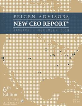 FEIGEN ADVISORS NEW CEO REPORT® January - December 2019