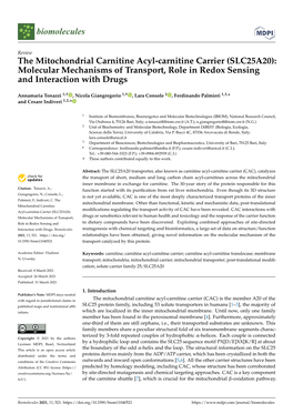 SLC25A20): Molecular Mechanisms of Transport, Role in Redox Sensing and Interaction with Drugs