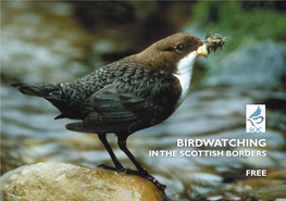 Birdwatching in the Scottish Borders