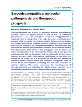 Sarcoglycanopathies: Molecular Pathogenesis and Therapeutic Prospects