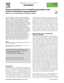 Seasonal Plasticity: How Do Butterfly Wing Pattern Traits Evolve