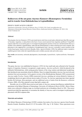 Zootaxa, Rediscovery of the Ant Genus Amyrmex Kusnezov (Hymenoptera