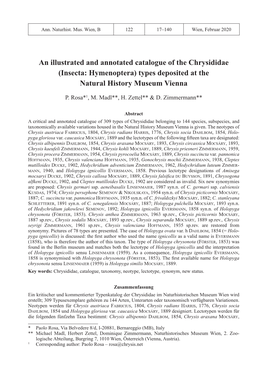 An Illustrated and Annotated Catalogue of the Chrysididae (Insecta: Hymenoptera) Types Deposited at the Natural History Museum Vienna