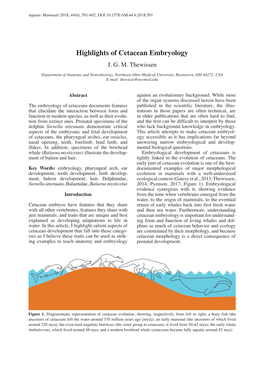 Highlights of Cetacean Embryology J