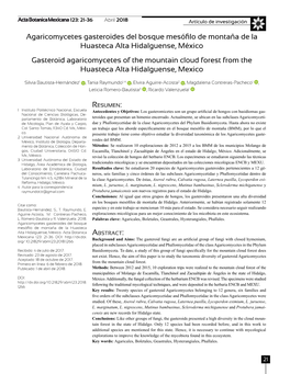 Agaricomycetes Gasteroides Del Bosque Mesófilo De Montaña De La