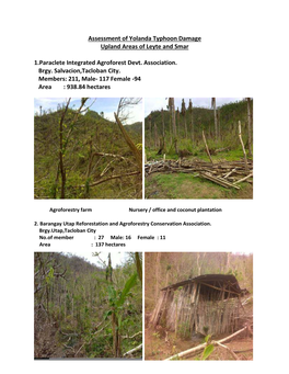 Assessment of Yolanda Typhoon Damage Upland Areas of Leyte and Smar