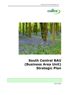 South Central BAU Strategic Plan