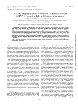 In Vitro Properties of the Conserved Mammalian Protein Hnrnp D Suggest a Role in Telomere Maintenance