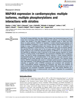 MAP4K4 Expression in Cardiomyocytes: Multiple Isoforms, Multiple Phosphorylations and Interactions with Striatins