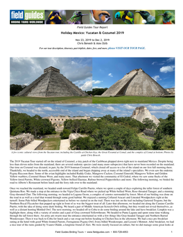 Yucatan & Cozumel 2019