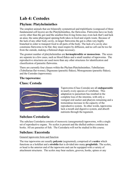 Laboratory 4 Cestodes.Pdf