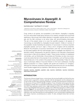 Mycoviruses in Aspergilli: a Comprehensive Review