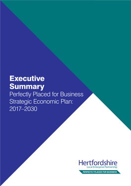 Strategic-Economic-Plan-Executive