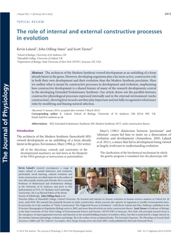 The Role of Internal and External Constructive Processes in Evolution
