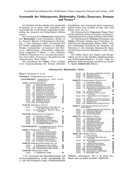 Systematik Der Schizomycetes, Rickettsiales, Virales, Eumycetes, Protozoa Und Vermes 1147