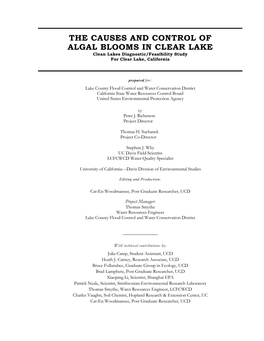 Clean Lakes Report