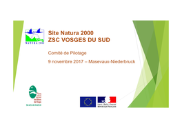 Site Natura 2000 ZSC VOSGES DU SUD